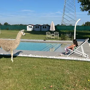  Bed and breakfast Iris Italia