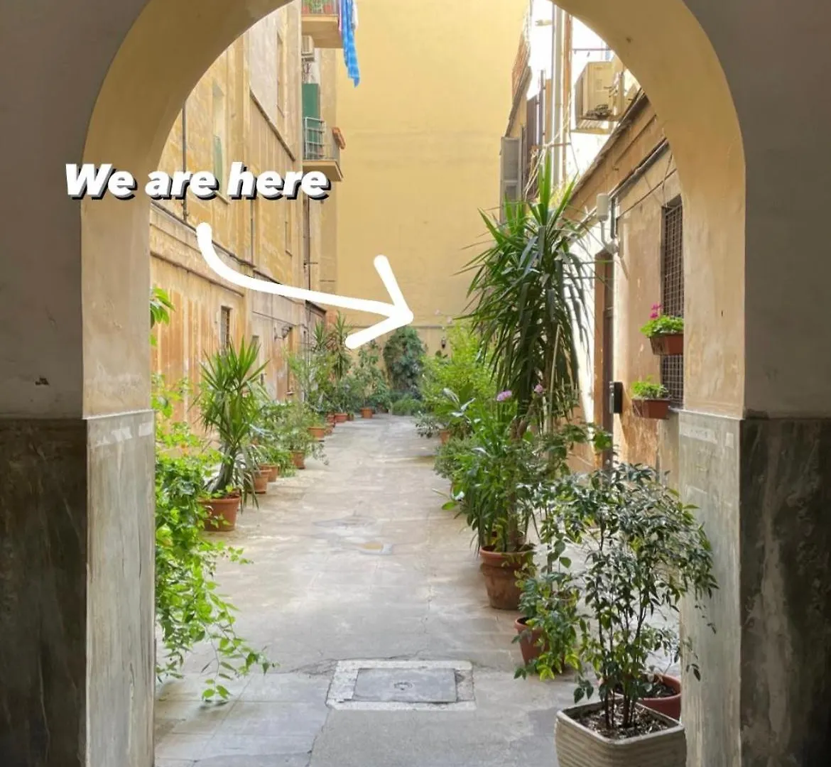 The Room 115 Rome